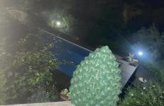 Queen Etna - Beautiful Pool - Foto 37
