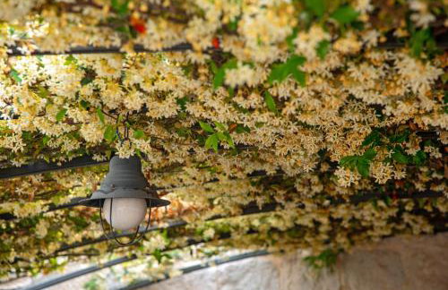 Villa Pauletta - Photo 44