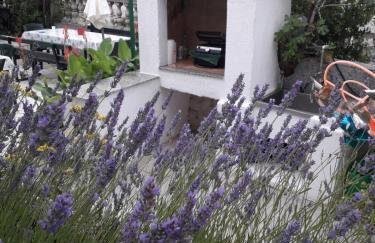 Lovely Marjetka apartment - Foto 42