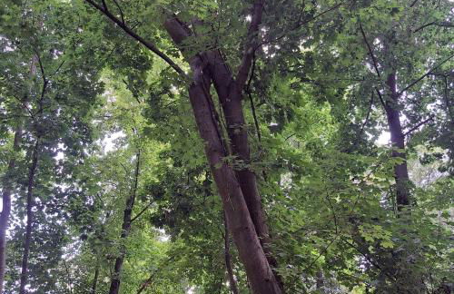 Exclusives Ferienhaus am Kulkwitzer See - Photo 49