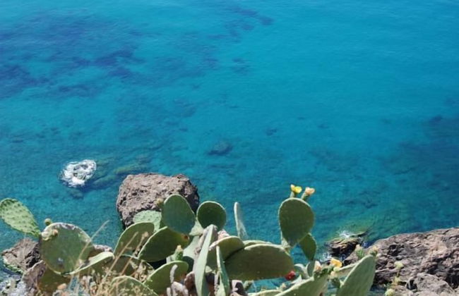 Apartamentos Playamaro - Foto 119