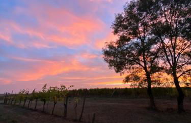 Le Clos Boissière - Gîte Cosy - Photo 17