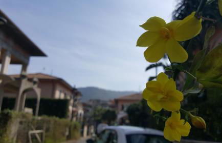 Loft Karol Taormina - Foto 17