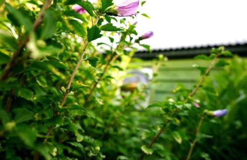 Romantic Retreat - Luxury Shepherds Hut + Hot Tub! - Foto 30