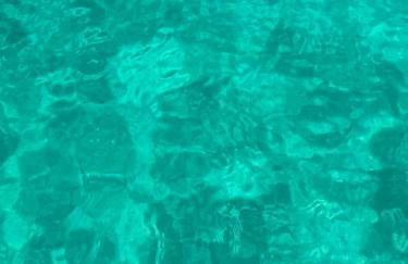 Private 9000qm Estate Villa with Pool and Yacuzzi and Sauna absolute Privacy near Fazana - Foto 78