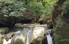 Ferienwohnung am Pferdemarkt - Foto 69