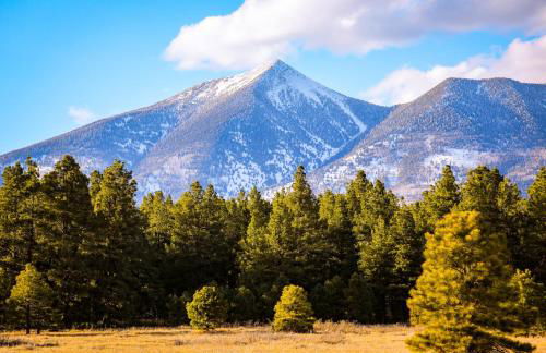 New Flagstaff Adventure Getaway - Foto 27