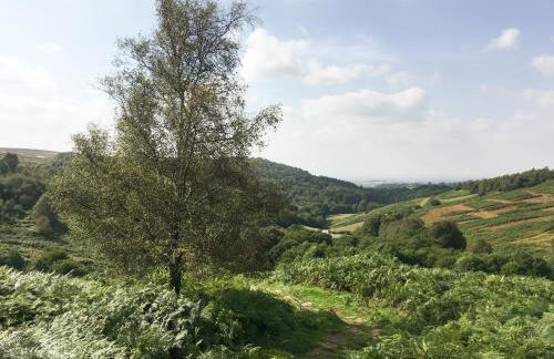 Ickle Pickle Cottage - Photo 18