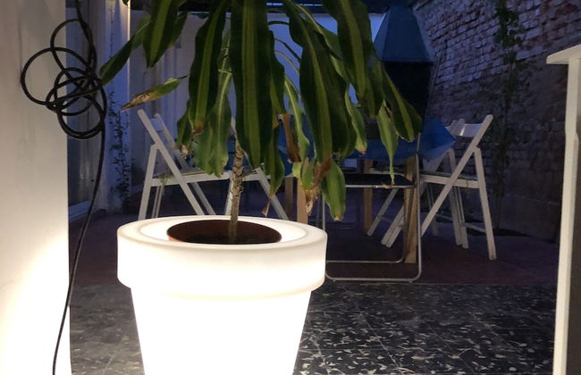 Warm comfortable house great location - Photo 20