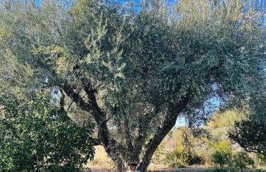 The Artist's Farm - Foto 61