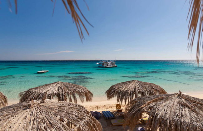 Excursion à Paradise Beach - Photo 5