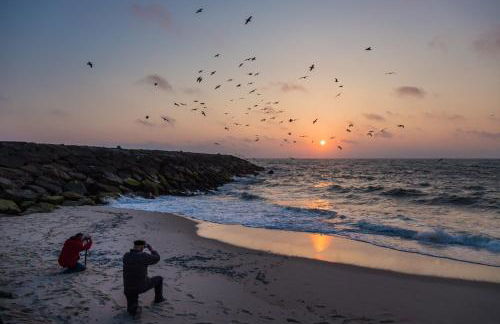 Ovar Apartments by Aqualeisure - Foto 5