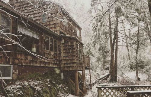 Peaceful Gateway to Island Creek Cottage - Foto 27