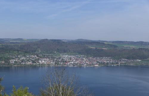 Apartments im Gästehaus Krone - Foto 50