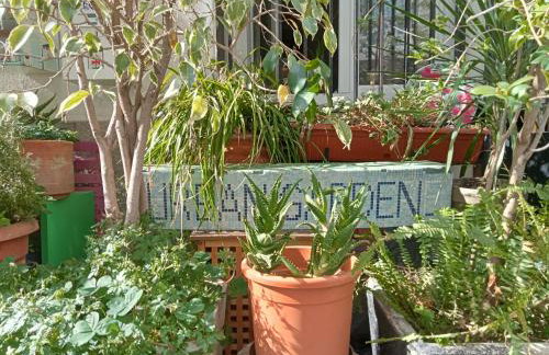 Un jardin en Ville - Photo 12