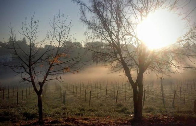 Angelucci Agriturismo con Camere e Agri Camping - Photo 69