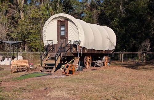 Highland Cow Glamping in a Cozy King Bed Wagon - Foto 10
