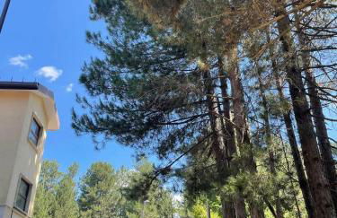 Camigliatello Sila Chalet dei Ribes - Foto 8