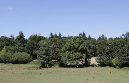 Steel Works Farm - Foto 31