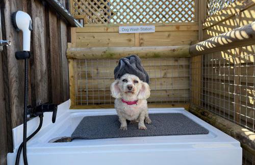 Luxury Glamping Pods with private Hot Tubs - Dog Friendly - Foto 22