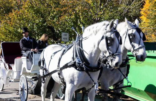 Cozy Log Cabin in Jim Thorpe - Foto 43