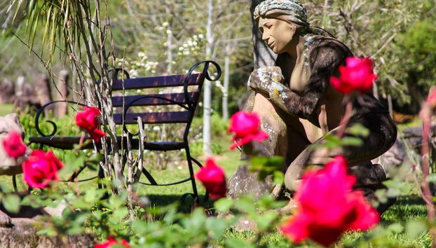 Você ficará encantado com as esculturas