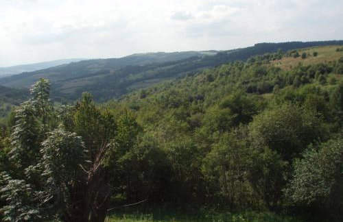 Domaradzkie Wzgórze - Foto 11