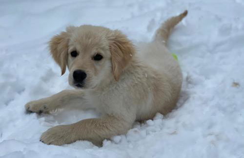 Residence Margreth - Foto 72