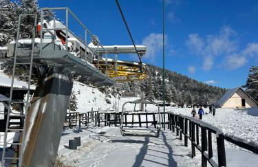 Picena 177 - Foto 13