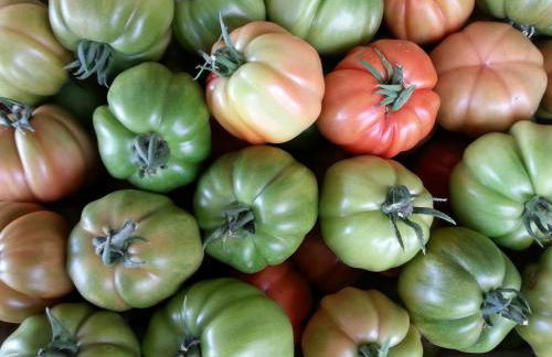 Agriturismo Fioredizucca - Foto 47