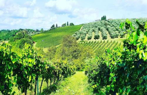 Tuscany Bliss: Garden Retreat - Foto 67