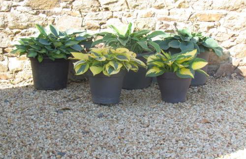 Gîte Paimpol Le Poullou - Photo 42