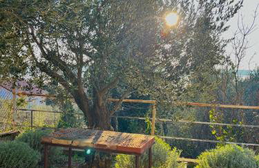 Seaview House Fiore Paklenica - Foto 41