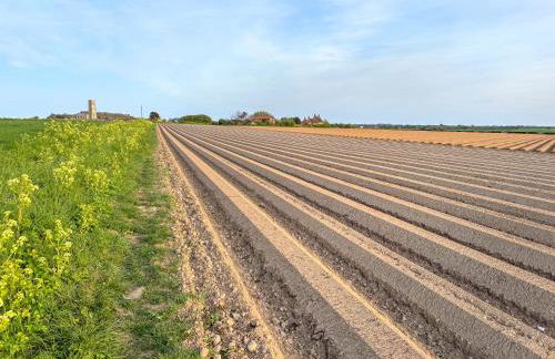 High House - Photo 50