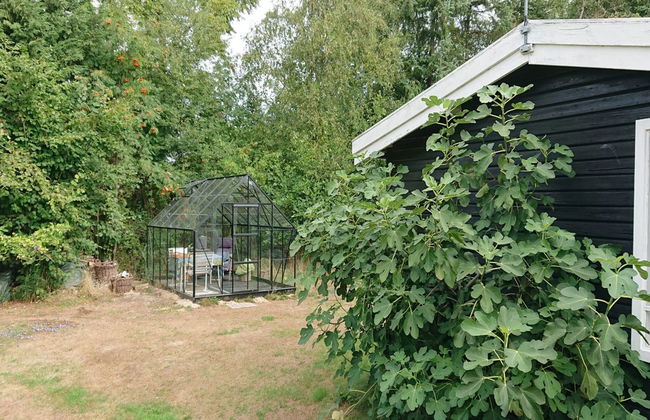 "Elisa" - 600m from the sea - Foto 14