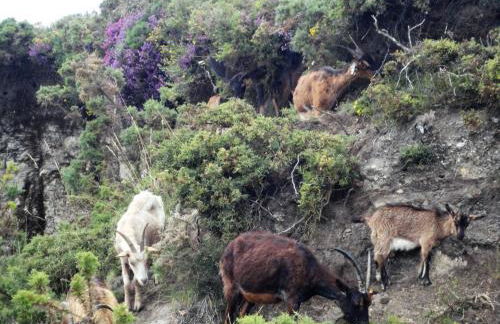 Macheta's Coutry House - Foto 67