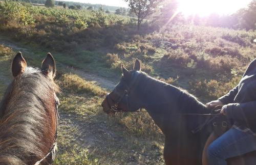 Schönes Apartment vor den Toren Hamburgs - keine Monteurwohnung - Foto 24