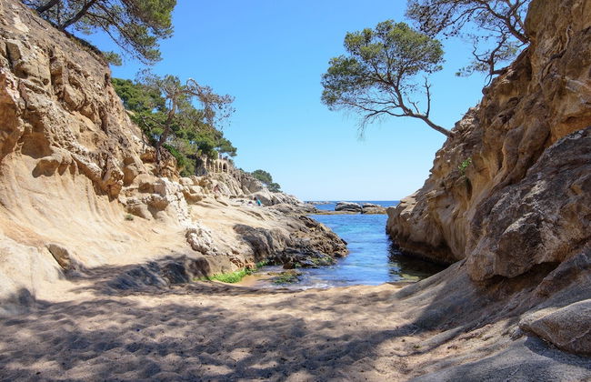 Aparthotel Ciutat de Palol - Foto 60