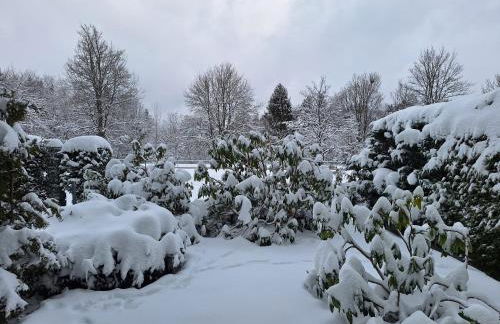 Gemütliche Ferienwohnung am Nationalpark Harz mit Parkplatz am Haus - Foto 18