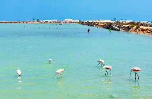 Casa Beth Villamartin 2 Bedroom/ 2 Bathroom with Pool - Photo 27