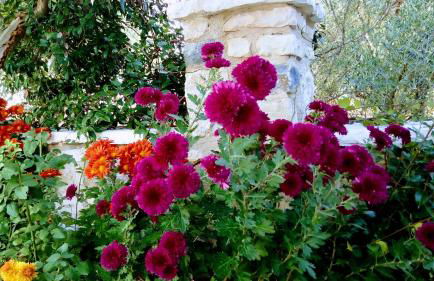 Mountain Ηouse in Arcadia - Foto 13