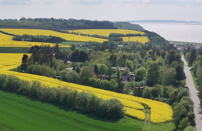 "Aranja" - 300m to the fjord - Photo 8