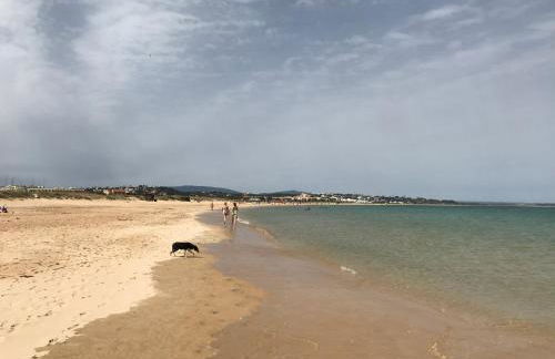 Paraiso vale da ribeira - Foto 32