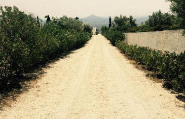 Villa Heleni - Foto 33