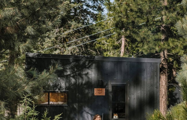 Postcard Cabins Western Catskills, Outdoor Collection by Marriott Bonvoy - Foto 1