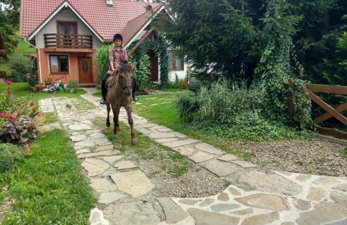 Rodzinny Domek Apartament - Foto 10