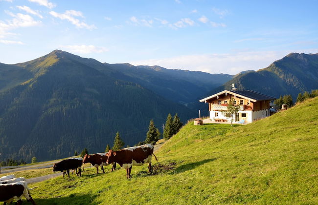 Alpine Premium Chalet Wallegg-Lodge - Foto 18