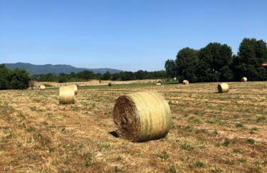 Antico Casale Silvia - Foto 31