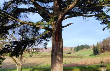 Casa relax in campagna Rufina - Foto 28