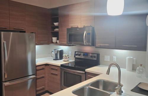 Midtown Downtown Breeze 7 miles from Rodeo - Foto 10